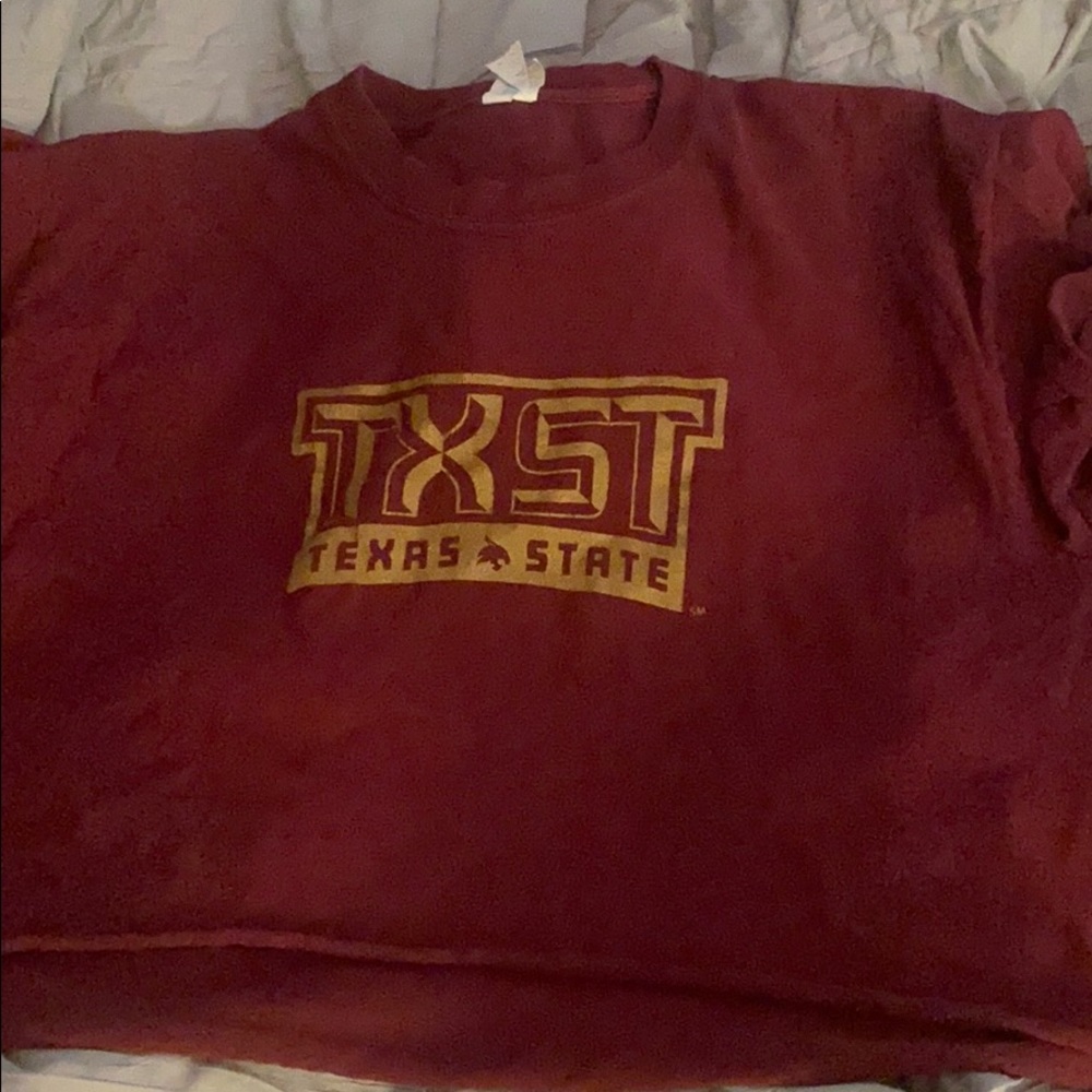 Texas state crop top